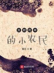 大时代中的小农民 醛石TXT