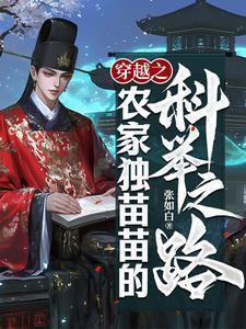 穿越之农家独苗苗的科举之路大结局