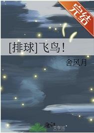 排球飞鸟!