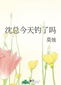 沈总今天钓了吗笔趣阁