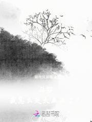 穿越斗罗我成了大反派