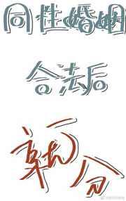 同性婚姻合法后就分 扶