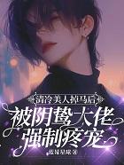 清冷美人omega