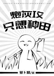 炮灰攻只想种田百度TXT