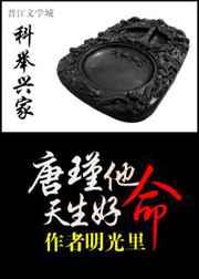 科举兴家唐瑾他天生好命txt
