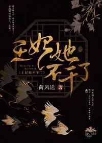 王妃她不干了 作者荷风送
