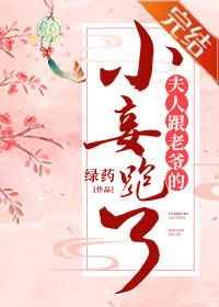 夫人跟老爷的小妾跑了资源