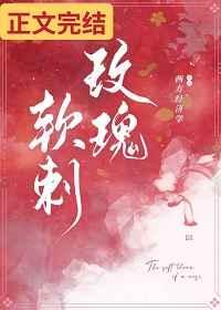 玫瑰软刺作者西方经济学