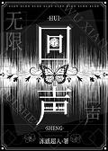 回声无限番外