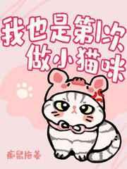 我也是第一次做小猫咪by