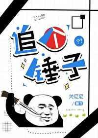 追个锤子by关尼尼剧透