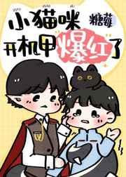 小猫咪开机甲爆红了云盘