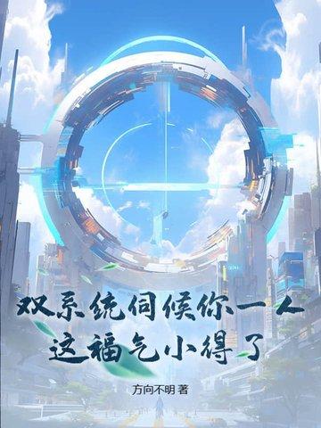何为双系统