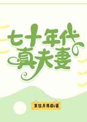 七十年代真夫妻简介