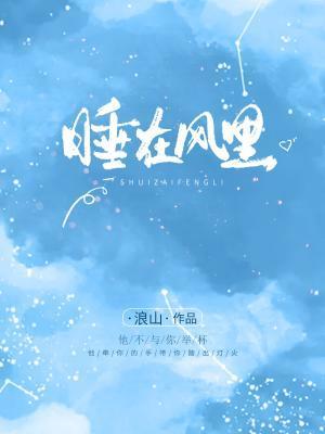 睡在风里txt