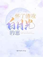 怀了渣攻白月光的崽BY墨声如昨
