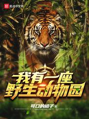 我有一座野生动物园 可口的橘子