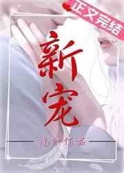 新宠科技有限公司