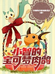 宝可梦all小智乐乎