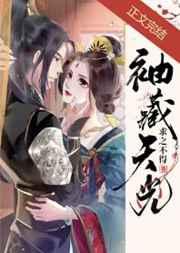 袖藏天光全本TXT