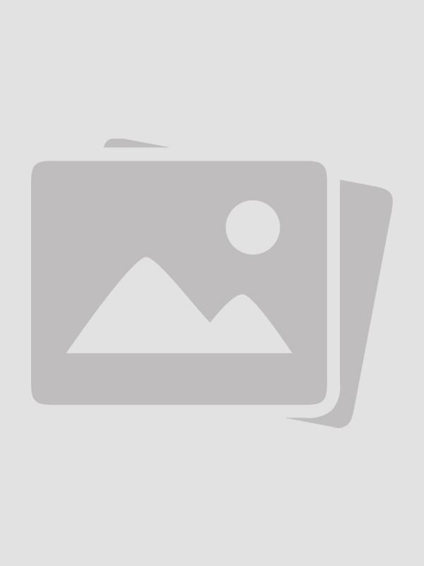 再见不如不见下一句