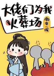 大佬们为我火葬场免费无弹窗阅读