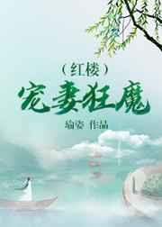 红楼宠妻狂魔全本免费阅读