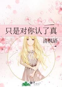 只是对你认了真全文阅读