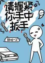 请握紧你手中扳手大概剧情
