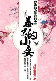 拐 个 皇 帝 回 现 代