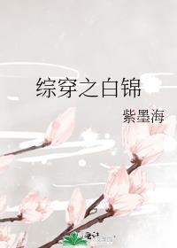 综穿之白锦格格党
