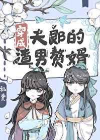 变成夫郎的渣男赘婿