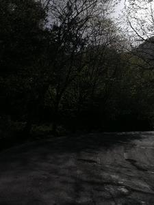 凝望读音是什么意思 凝望读音是什么意思