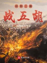 回到三国战五胡动漫