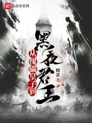 从傀儡皇子到黑夜君王 完整版免费