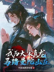 我为大宋真龙
