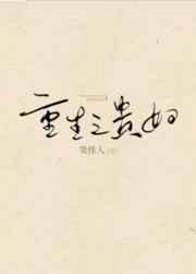 重生之贵妇 笑佳人