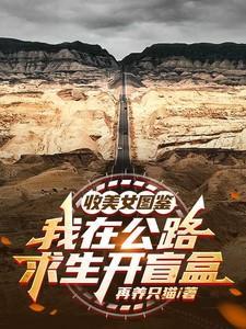 我在公路求生开盲盒无修