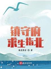 镇守府求生指北八一