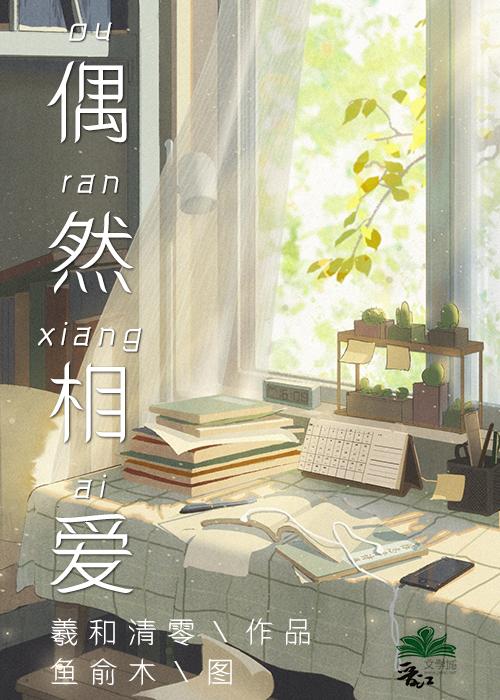 偶然相爱在线阅读