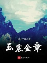 玉宸金章TXT