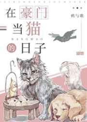 在豪门当猫的日子漫画
