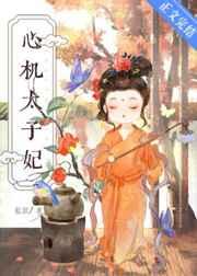 心机太子妃作者起跃