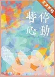 暂停心动txt百度