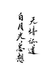 白月光总想无情证道清淮晓色