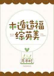木遁造福综英美128