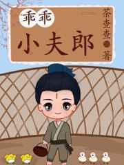 乖乖小夫郎免费阅读全文