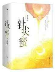 针尖蜜txt电子书