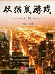 从猫鼠游戏开始无防盗