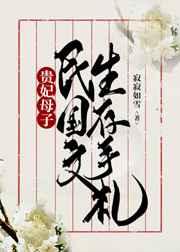 贵妃母子民国文生存手札讲的什么